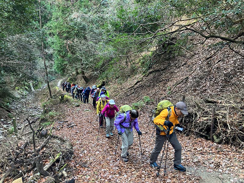 3.23名の長い行列