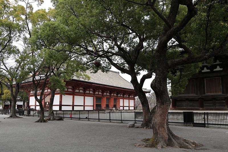 11.講堂・立体曼荼羅