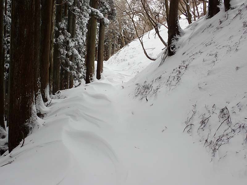 4.シュカブラその１
