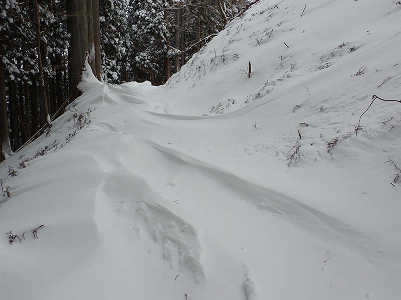 5.シュカブラその２