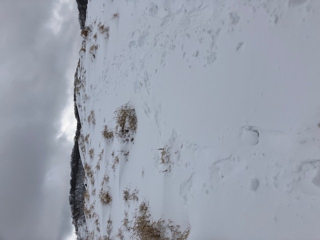 10.寒風が見えました