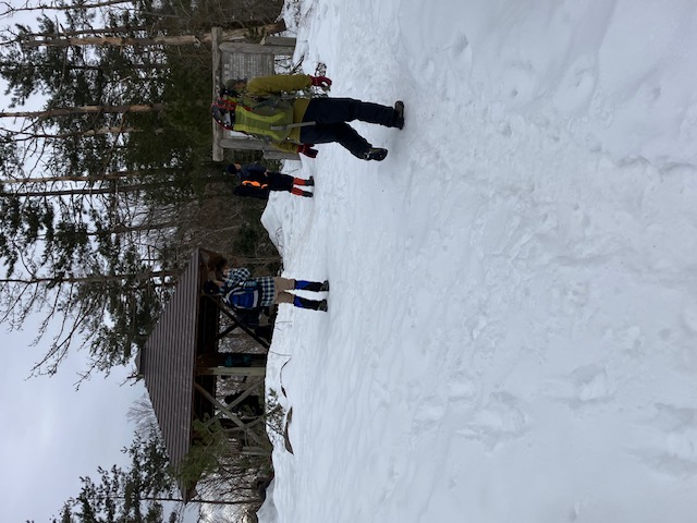 3.ブナノキ平。例年だと東屋は屋根しか見えません
