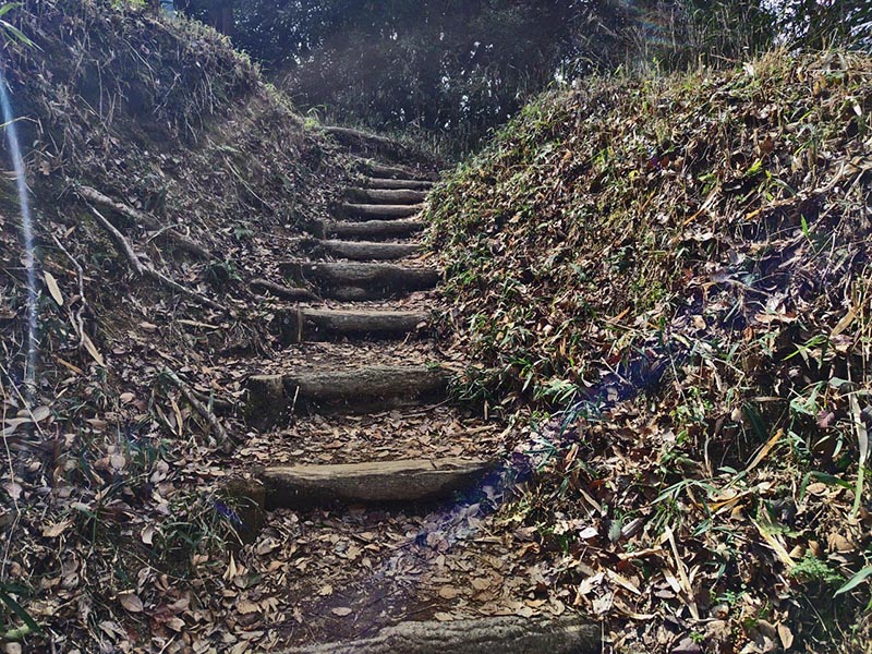 2.交野山への登山道