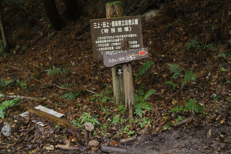 3.舗装林道から阿星山登山口へ