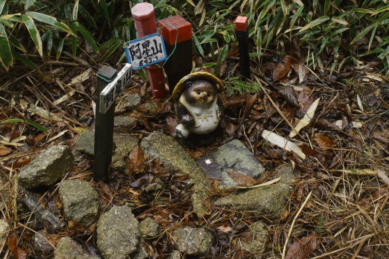 6.阿星山の2等三角点と番する狸