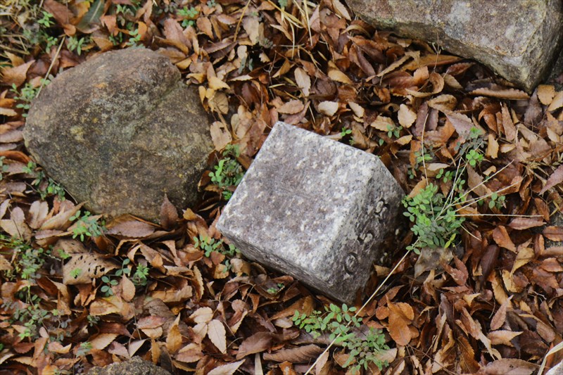 9.西寺バス停前の四等三角点