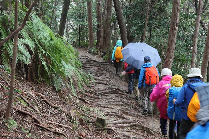 10.歩き易い道です