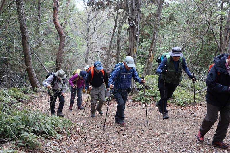 4.尾根道もきついが