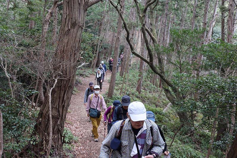 5.平坦な個所も