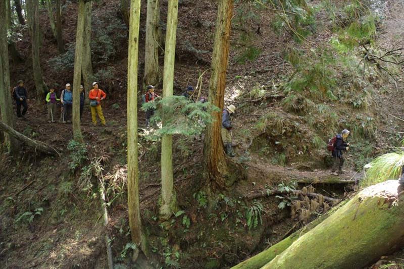 2.盗人谷に入る