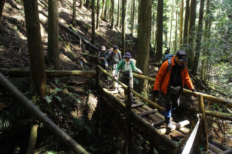 4.丸木橋は案外大丈夫でした