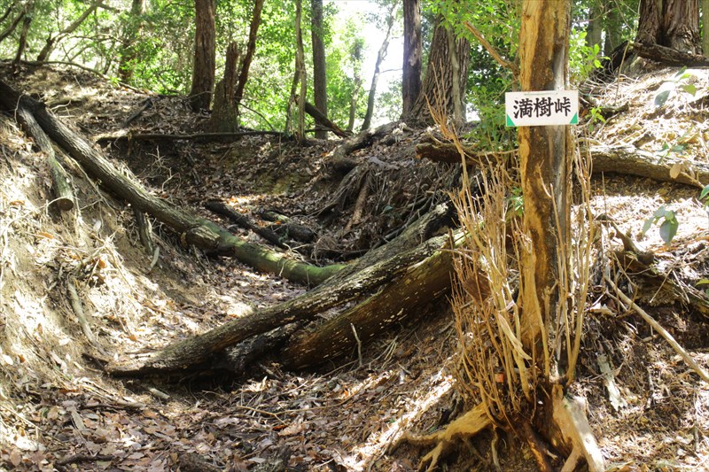 6.樹木で満ちた?満樹峠