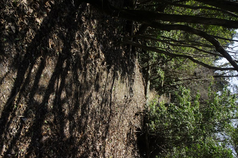 7.心地よい春の尾根道も
