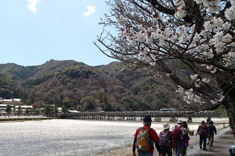 11.渡月橋に向かって