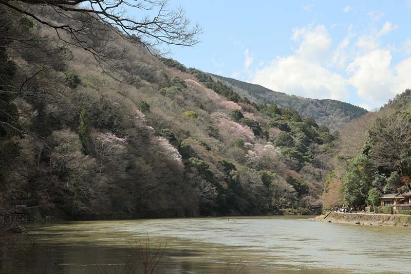 12.嵐山対岸は小倉山
