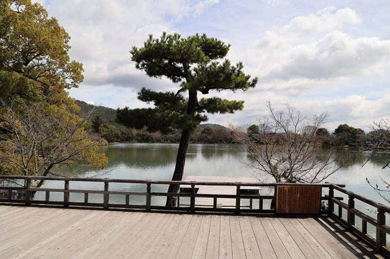 5.大沢池　五大堂本堂から