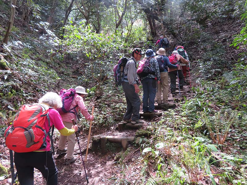 1.佐和山の登り