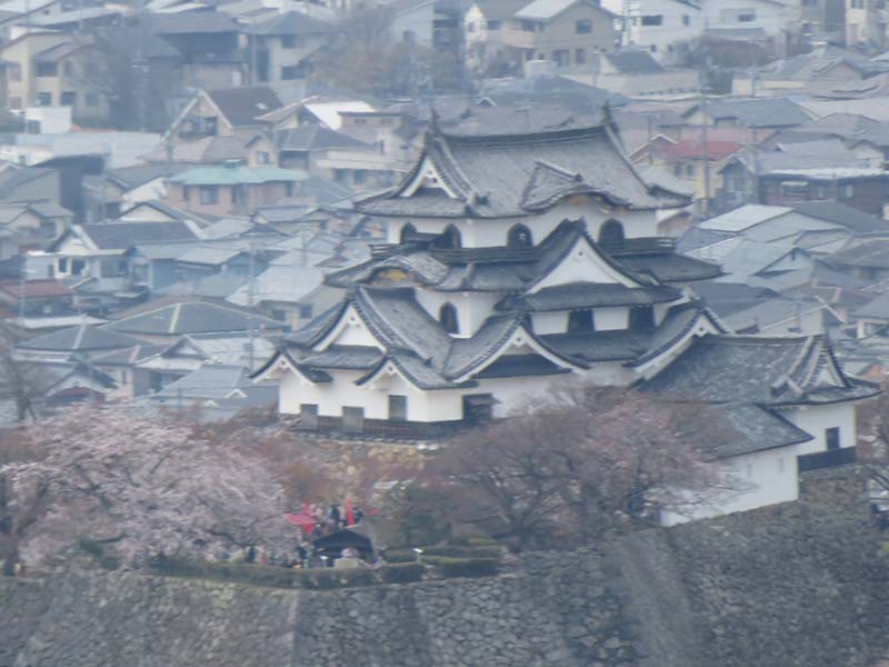 4.彦根城