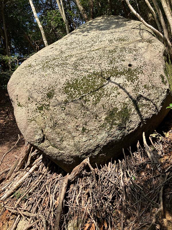 2.みんなで支えあう？