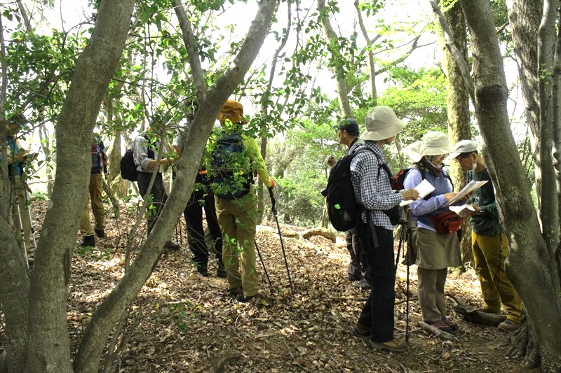 2.三宅八幡からの道と出合う(読図練習)
