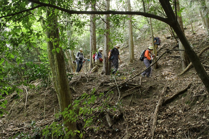 8.谷に向かって降りて行く