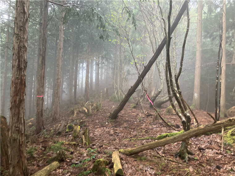 2.幻想的な風景