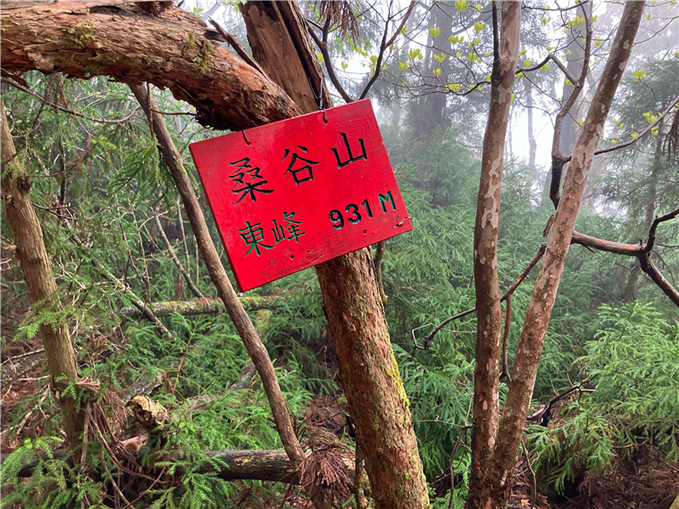 4.桑谷山　東峰