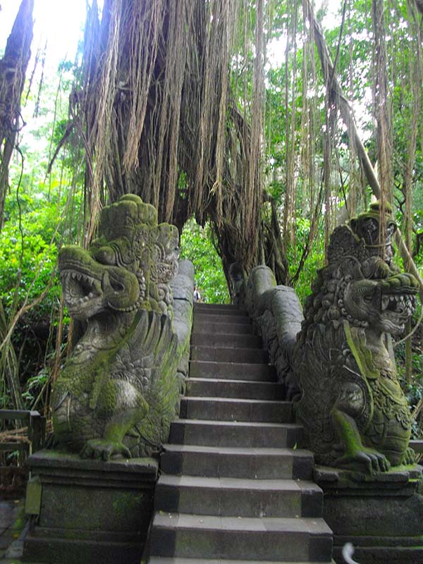 9.モンキーフォーレストの地下へ