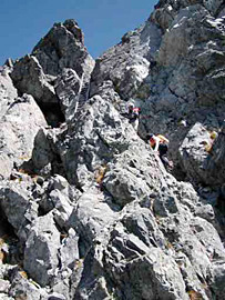 ������������