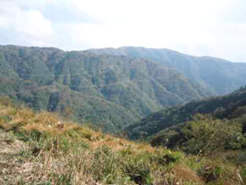 ���ރ���