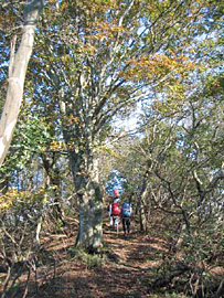 �\�o�z�ւ̔�����