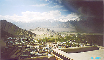 leh08_2