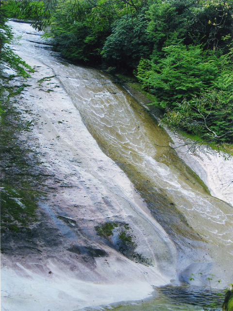 �����k�J