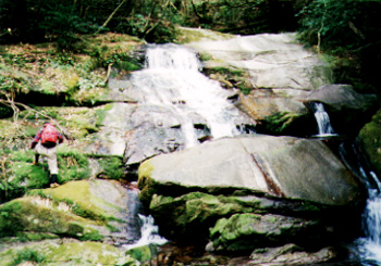 �����x�̑�