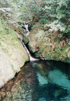 �����x�̑򌹗�