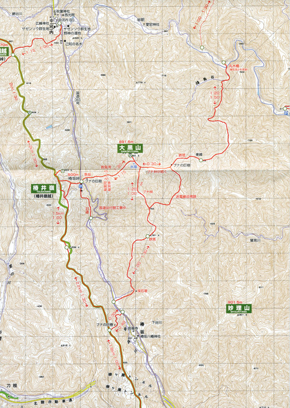 �]���g���C���}�b�v����